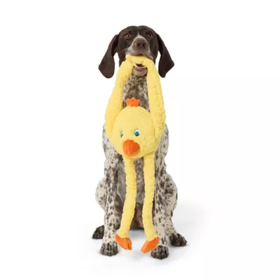Product Joyhound® Crazy Comfy Duck Squeaker Tug Plush Dog Toy