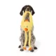 Product Joyhound® Crazy Comfy Duck Squeaker Tug Plush Dog Toy