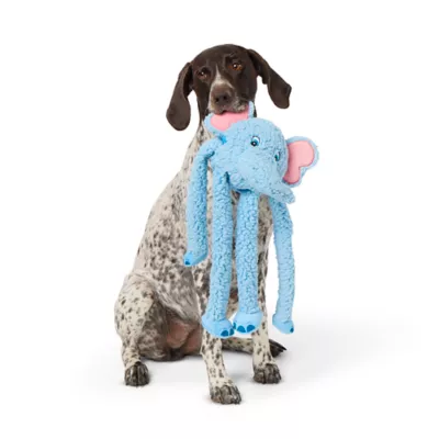 Product Joyhound® Crazy Comfy Elephant Squeaker Plush Tug Dog Toy