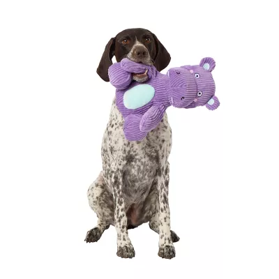 Product Joyhound® Crazy Comfy Bite Shield Hippo Squeaker Plush Dog Toy