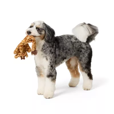 Product Joyhound® Crazy Comfy Flattie Giraffe Squeaker Crinkle Plush Dog Toy