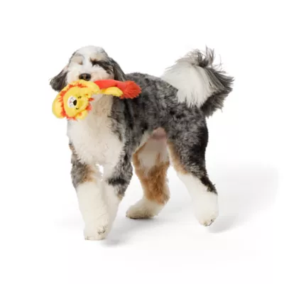 Product Joyhound® Crazy Comfy Flattie Lion Squeaker Crinkle Plush Dog Toy