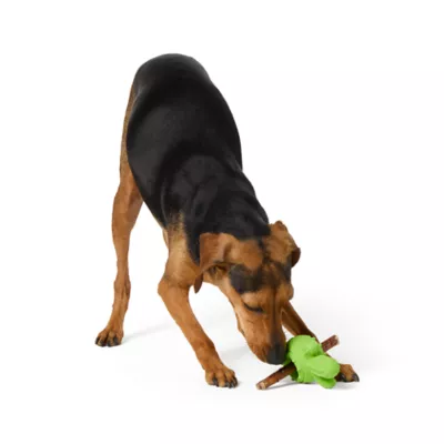 Product Joyhound® Cactus Bully Stick Treat Dispensing Dog Toy