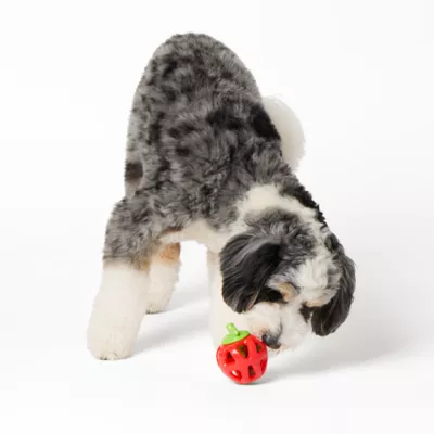 Product Joyhound® Pepper Treat Dispensing Dog Toy