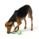 Product Joyhound® Monkey Fist Rope Dog Toy