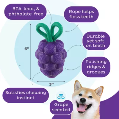 Product Outward Hound Dental Grapes Treat Stuffer Chew Dog Toy