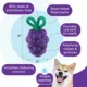 Product Outward Hound Dental Grapes Treat Stuffer Chew Dog Toy