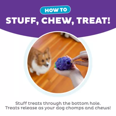 Product Outward Hound Dental Grapes Treat Stuffer Chew Dog Toy
