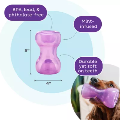 Product Outward Hound Double Snoop Ttreat Dispensing Dog Toy