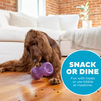 Product Outward Hound Double Snoop Ttreat Dispensing Dog Toy