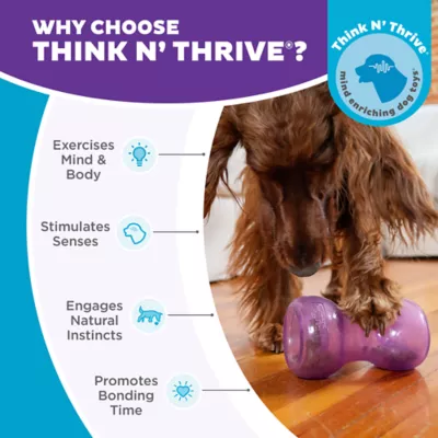 Product Outward Hound Double Snoop Ttreat Dispensing Dog Toy