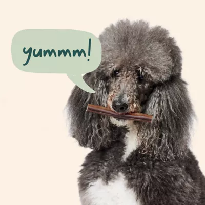 Product WOOF Collagen Sticks 6 Inch 5 Count 3.6 OZ