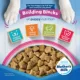Product Purina Puppy Chow Complete Dog Food Lamb