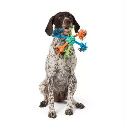 Product Joyhound® Multi Strand Ball Rope Dog Toy
