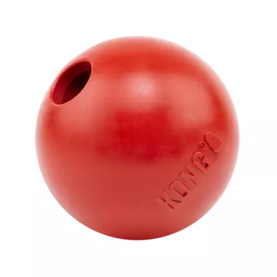 Product  KONG® Ball Dog Toy