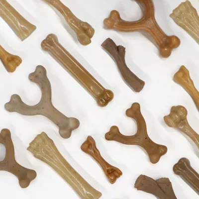 Product Nylabone® Gourmet Style Chew Toy 2-Pack