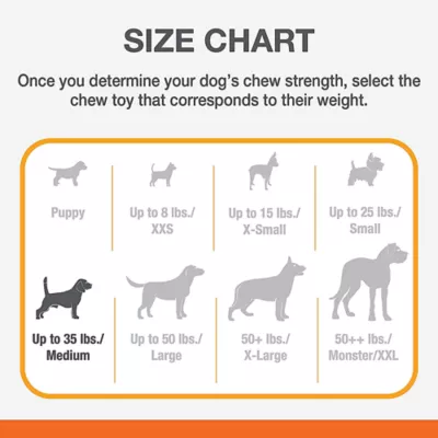 Product Nylabone® Puppy Oval Ring Chew Dog Toy