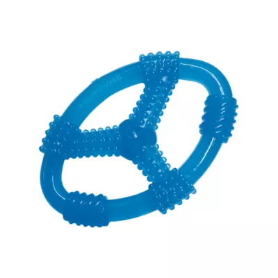 Product Nylabone® Puppy Oval Ring Chew Dog Toy