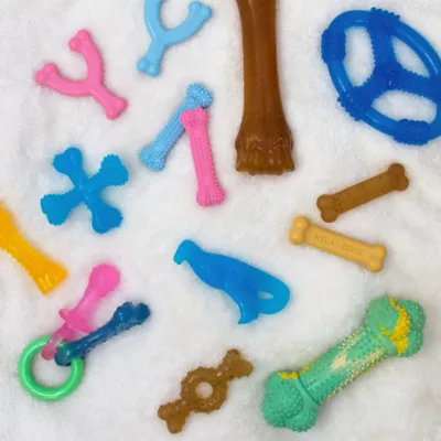 Product Nylabone® Puppy Oval Ring Chew Dog Toy