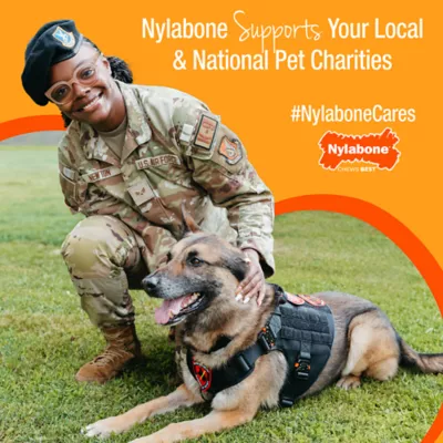 Product Nylabone® Rubber Strong Braid Bone Chew Dog Toy