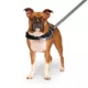 Product Canada Pooch Redirect Harness - Black
