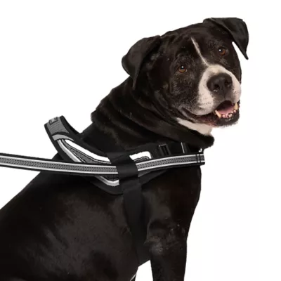 Product Canada Pooch Redirect Harness - Black