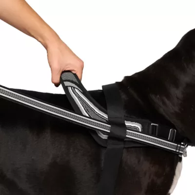 Product Canada Pooch Redirect Harness - Black