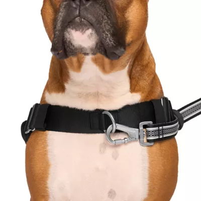 Product Canada Pooch Redirect Harness - Black