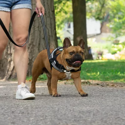 Product Canada Pooch Redirect Harness - Black