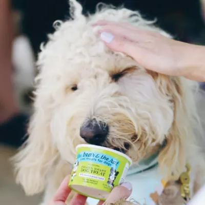 Product The Bear & The Rat Frozen Yogurt All Life Stages Frozen Dog Treats - Bacon & Peanut Butter