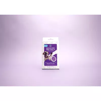Product Calm Paws Recovery Healing & Calming Paw Balm