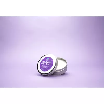 Product Calm Paws Recovery Healing & Calming Paw Balm