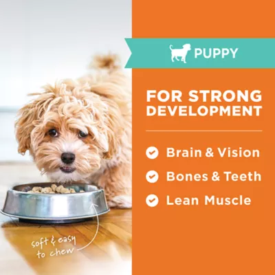 Product Instinct® Raw Meals Freeze-Dried Puppy Dry Dog Food - Raw, Grain Free, Chicken