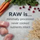 Product Instinct® RawBoost Whole Grain Kibble + Freeze-Dried Raw Light Recipe All Life Stages Dry Dog Food