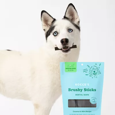 Product Bocce's Brushy All Life Stages Dental Sticks Dog Treats 13 OZ