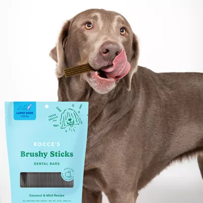 Product Bocce's Brushy Dental Sticks Dog Treats 13 OZ