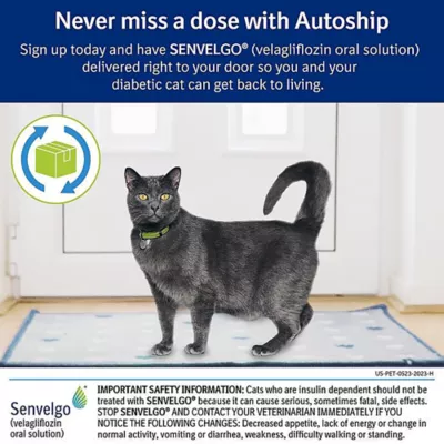 Product Senvelgo Oral Solutions for Cats - 15 mg/mL