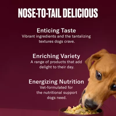 Product NOM NOM All Life Stages Frozen Dog Food - Lamb
