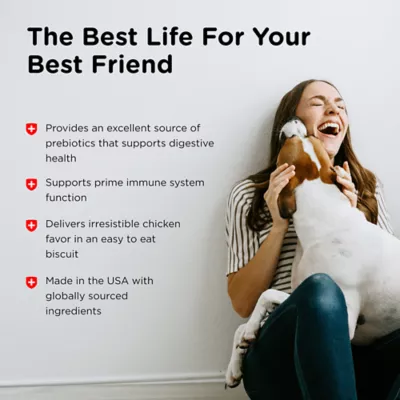 Product NutriVet® Immune & Digestive Health Biscuits Dog Treats - Chicken & Salmon, 16oz