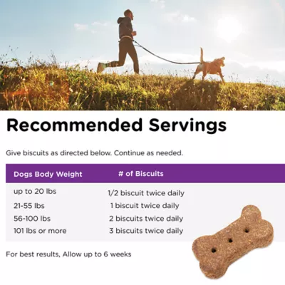 Product NutriVet® Immune & Digestive Health Biscuits Dog Treats - Chicken & Salmon, 16oz