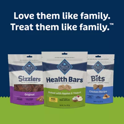 Product Blue Buffalo Mini Health Bars 16 OZ