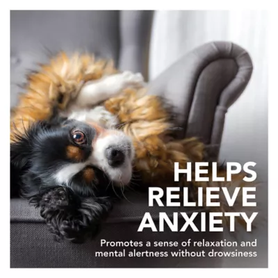 Product Vet's Best® Comfort Calm Soft Chews for Dogs - 30 count