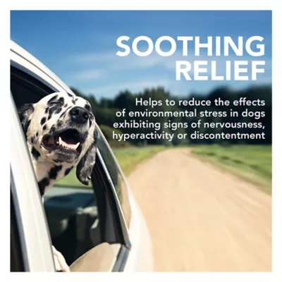 Product Vet's Best® Comfort Calm Soft Chews for Dogs - 30 count