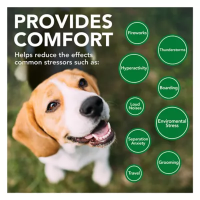 Product Vet's Best® Comfort Calm Soft Chews for Dogs - 30 count