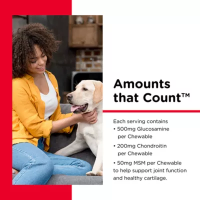 Product NutriVet® Hip & Joint Extra Strength Chewable Tablets for Dogs - Liver, 120 Count