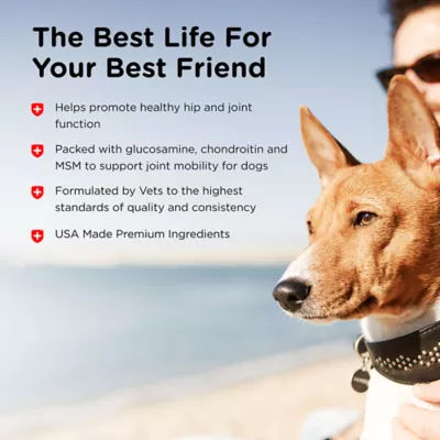 Product NutriVet® Hip & Joint Extra Strength Chewable Tablets for Dogs - Liver, 120 Count