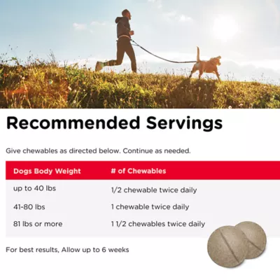 Product NutriVet® Hip & Joint Extra Strength Chewable Tablets for Dogs - Liver, 120 Count