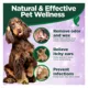 Product Vet's Best Ear Care Ear Relief Finger Wipes for Dogs - 50 count