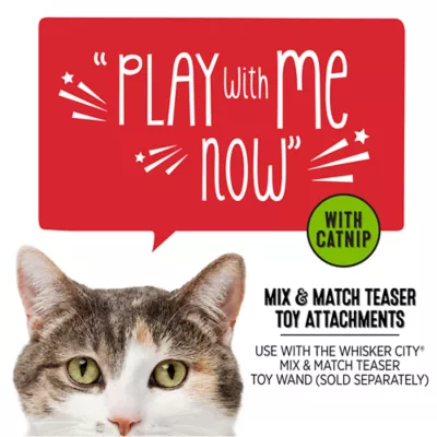 Product Whisker City® Natural Bird Teaser Toy Attachment