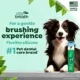 Product TropiClean Fresh Breath - Finger Brushes for Pets, 2 pack